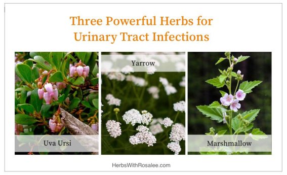 Urinary Tract Infection