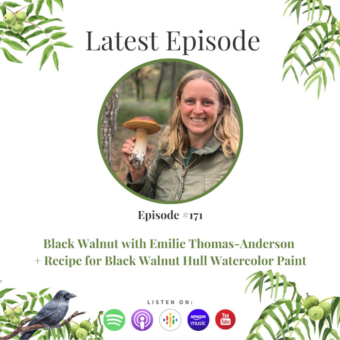 Behind the Scenes with Emilie Thomas-Anderson and Black Walnut