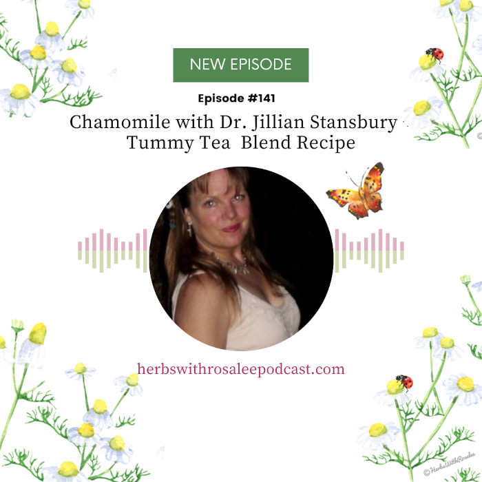 Chamomile with Dr. Jillian Stansbury