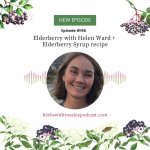 Elderberry with Helen Ward