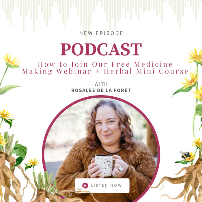 Medicine Making Webinar 2025