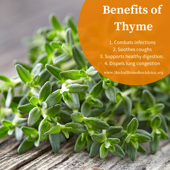 thyme uses benficial