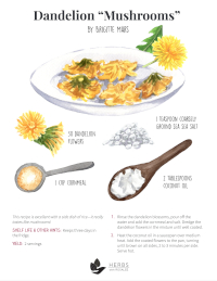 Dandelion Mushrooms Recipe