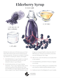 Elderberry Syrup Recipe