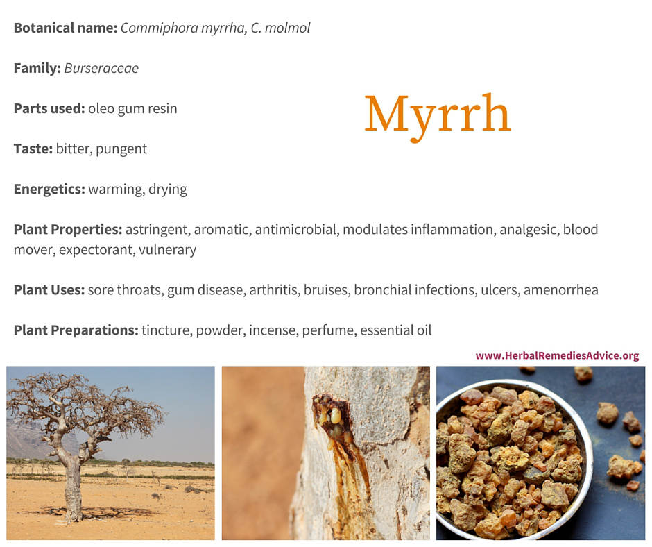Myrrh Gum Somalia Powder - Used Throughout History