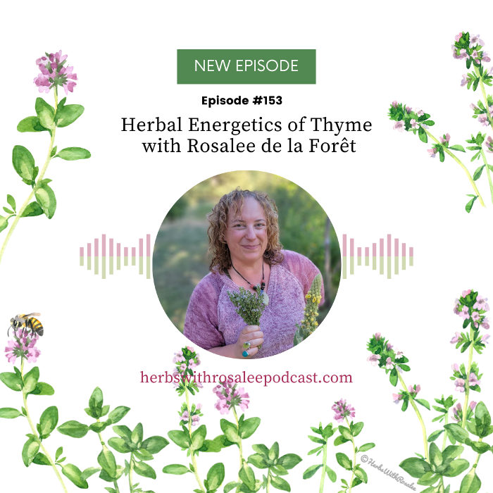 Herbal Energetics of Thyme