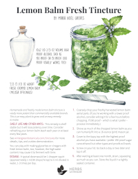 Lemon Balm Tincture Recipe