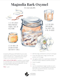 Magnolia Oxymel Recipe