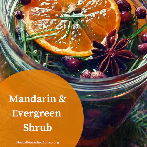 mandarin shrub recipe