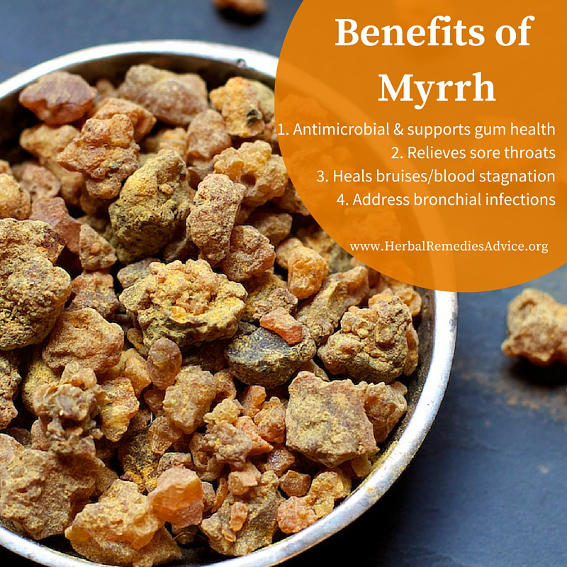 Myrrh Gum Powder Herb
