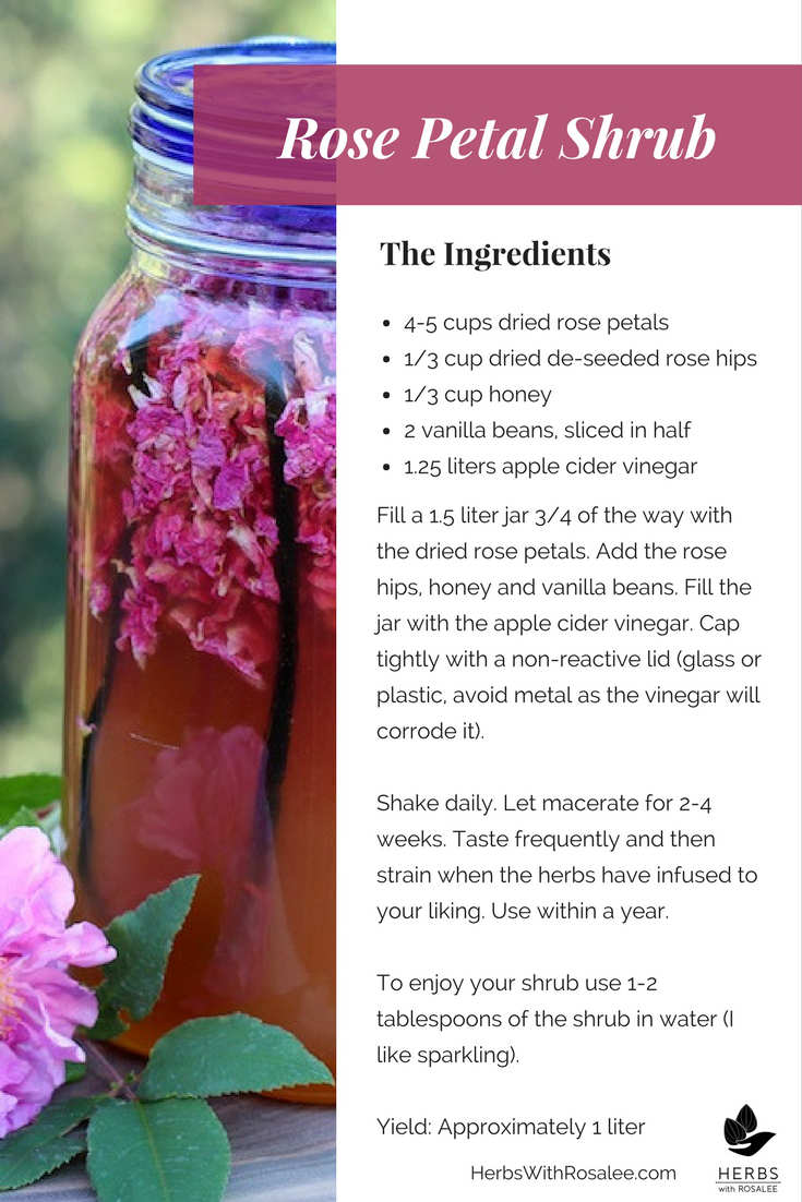 How to Dry Rose Petals Easy and Quick Way