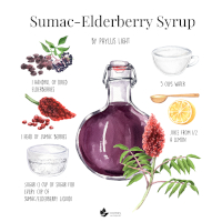 Sumac Elderberry Syrup Recipe