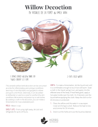 Willow Bark Tea Recipe