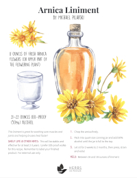 Arnica Liniment Recipe