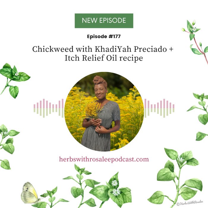 Chickweed with KhadiYah Preciado