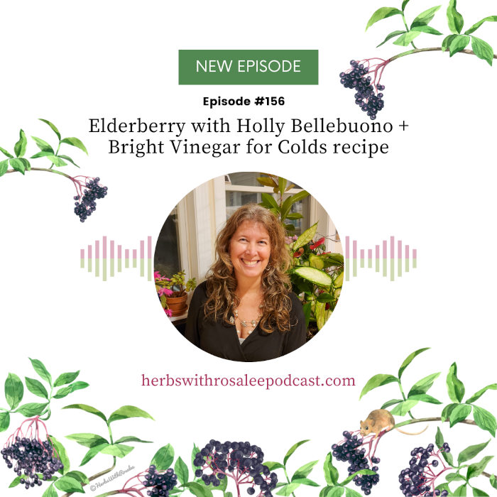 Elderberry Bellebuono podcast