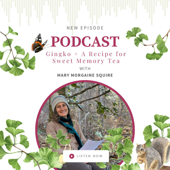 Gingko with Mary Morgaine Squire