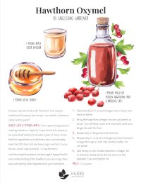 Hawthorn Oxymel Recipe