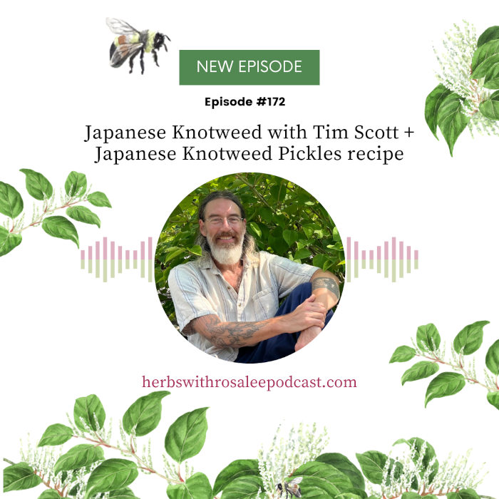 japanese knotweed with Tim Scott