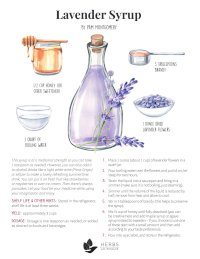 Lavender Syrup Recipe