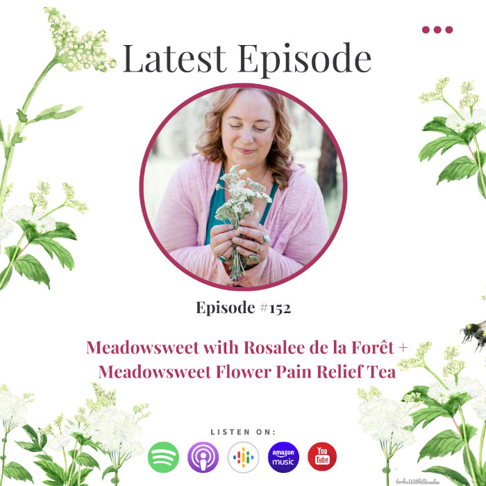 Meadowsweet herb podcast