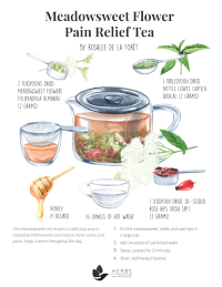 Meadowsweet pain relief tea recipe