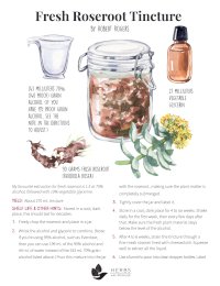 Rhodiola Tincture Recipe