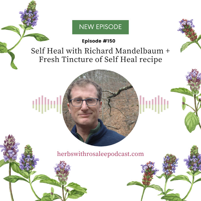 Self Heal with Richard Mandelbaum