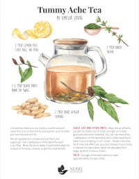 Tummy Ache Tea Recipe