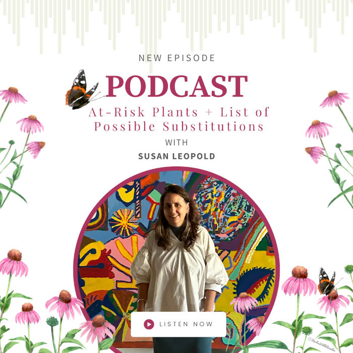At-risk plants with Susan Leopold