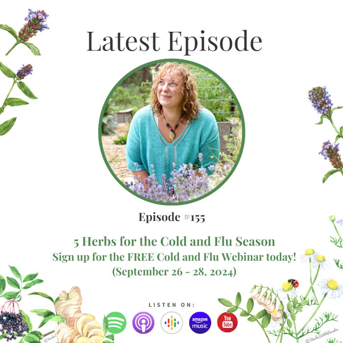 Cold and Flu Webinar 2024