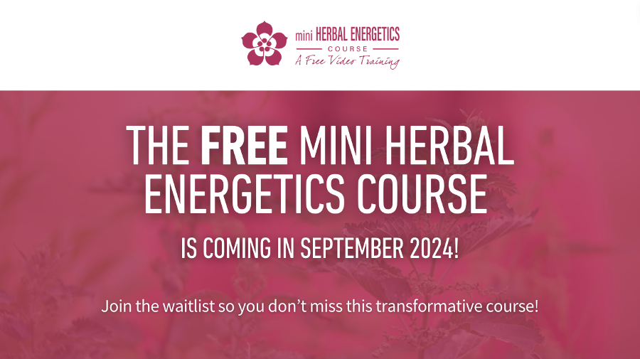 Energetics Mini Course Waitlist