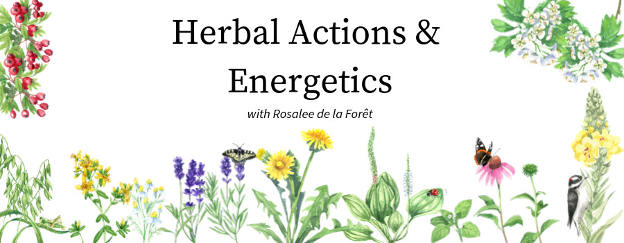 Herbal Energetics Chart