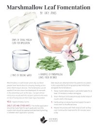 marshmallow leaf fomentation recipe