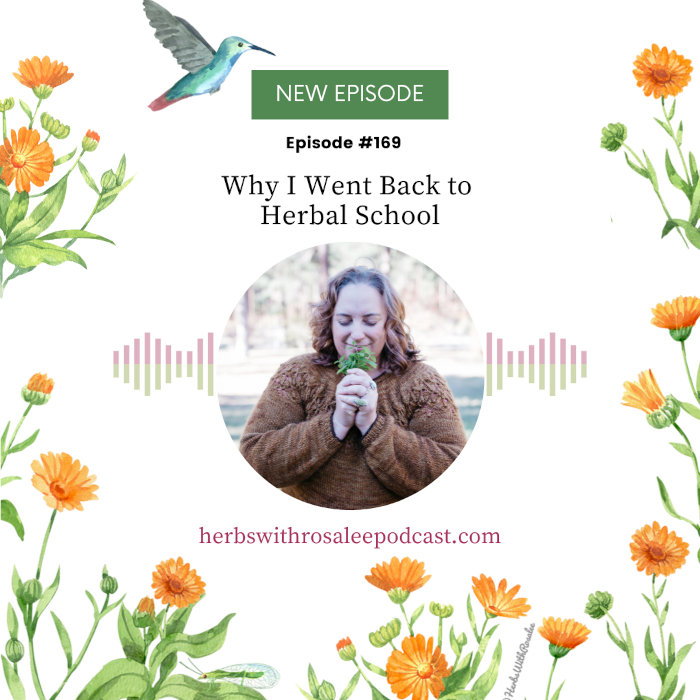 why I went back to herbal school